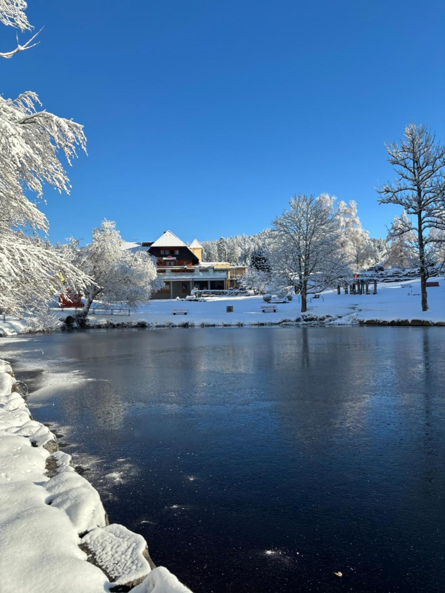 Landhaus Lauble Hornberg Kültér fotó
